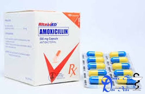 Amoxicillin