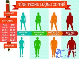 Công cụ tính BMI (Body Mass Index) để biết mập hay ốm