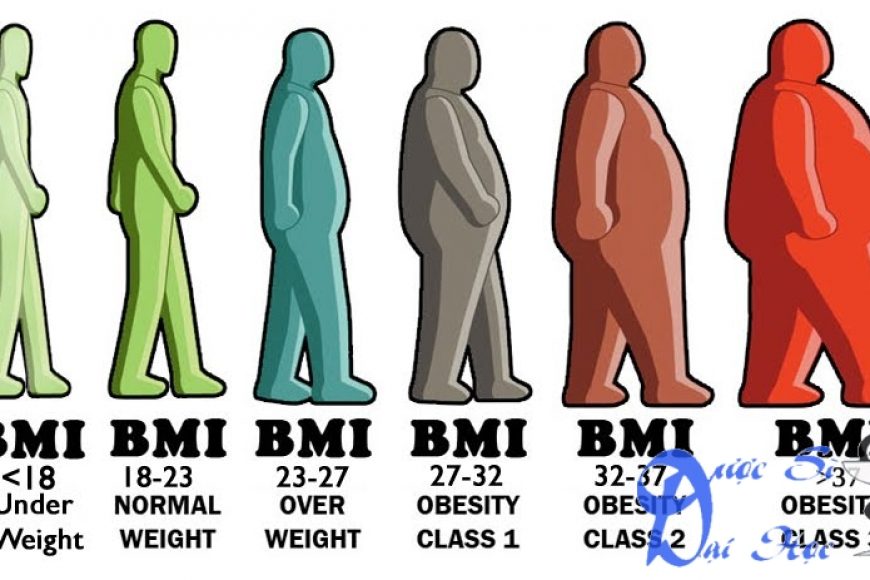 BMI là gì? chỉ số BMI và cách tính BMI như thế nào?