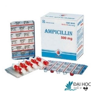 ampicilin