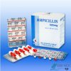 Thuốc ampicilin có tác dụng gì