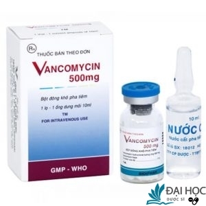 Thuốc vancomycin