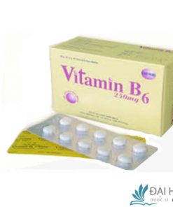 Thuốc vitamin b6