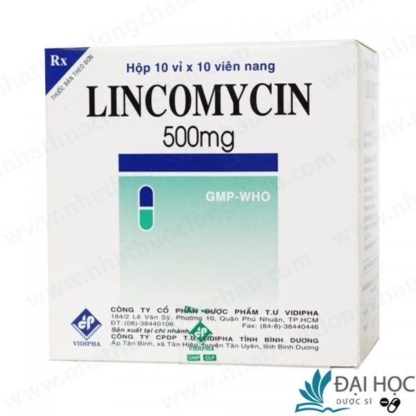 lincomycin