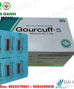 Gourcuff